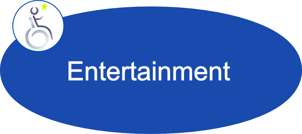 disability access audits for entertainment venues